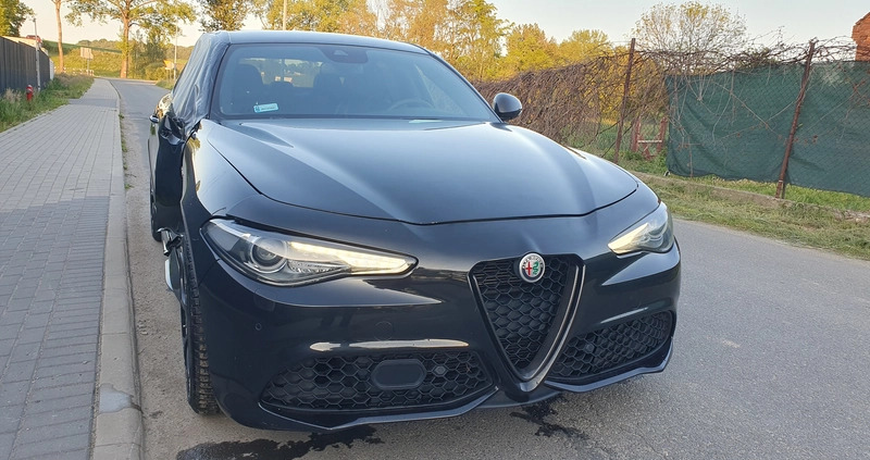 Alfa Romeo Giulia cena 48900 przebieg: 83527, rok produkcji 2018 z Zawichost małe 277